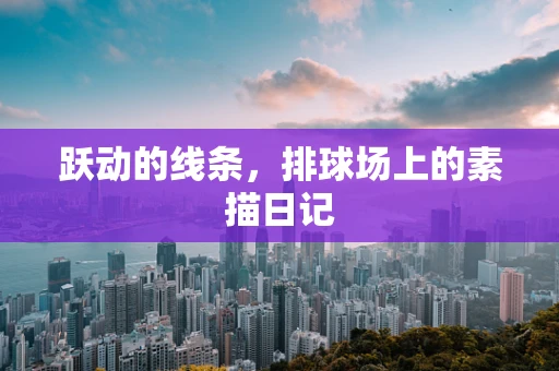 跃动的线条，排球场上的素描日记