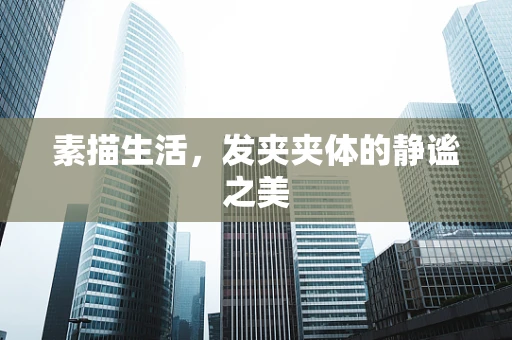 素描生活，发夹夹体的静谧之美