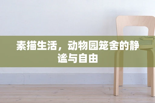素描生活，动物园笼舍的静谧与自由