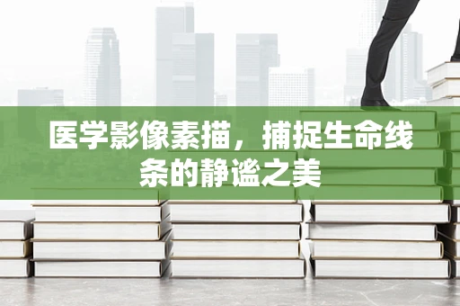 医学影像素描，捕捉生命线条的静谧之美
