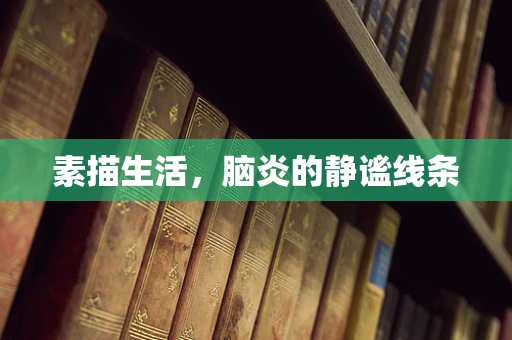 素描生活，脑炎的静谧线条