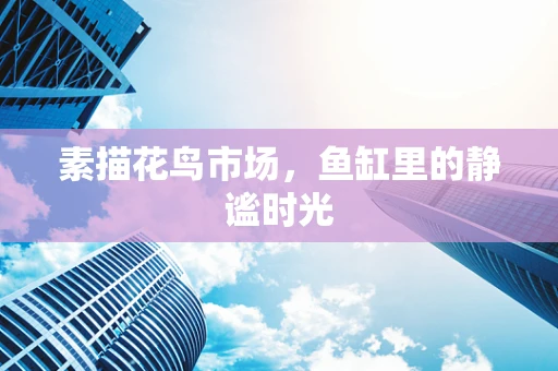 素描花鸟市场，鱼缸里的静谧时光