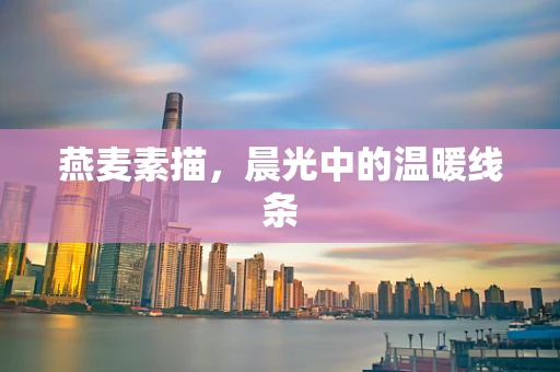 燕麦素描，晨光中的温暖线条