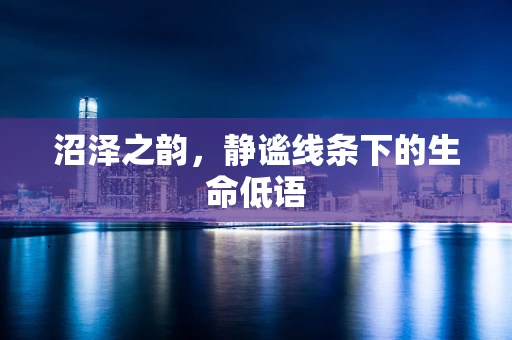 沼泽之韵，静谧线条下的生命低语
