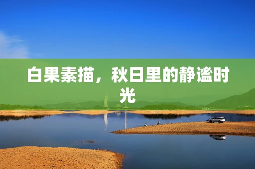 白果素描，秋日里的静谧时光