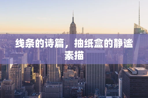 线条的诗篇，抽纸盒的静谧素描