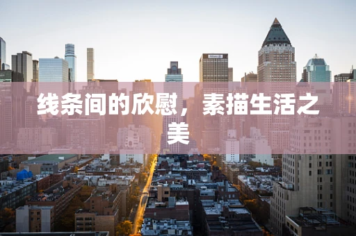 线条间的欣慰，素描生活之美