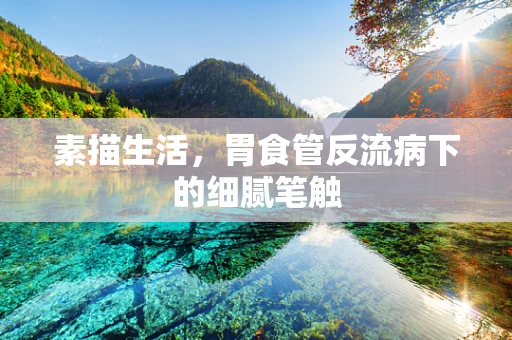 素描生活，胃食管反流病下的细腻笔触