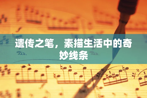遗传之笔，素描生活中的奇妙线条