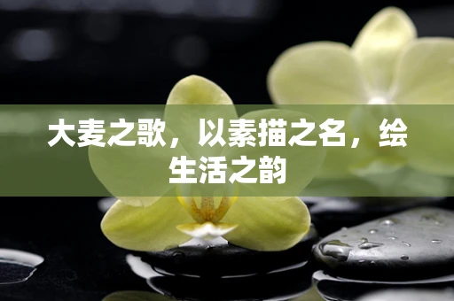 大麦之歌，以素描之名，绘生活之韵