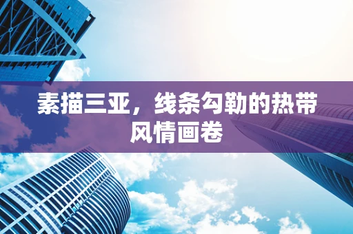 素描三亚，线条勾勒的热带风情画卷