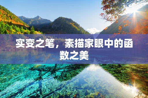 实变之笔，素描家眼中的函数之美