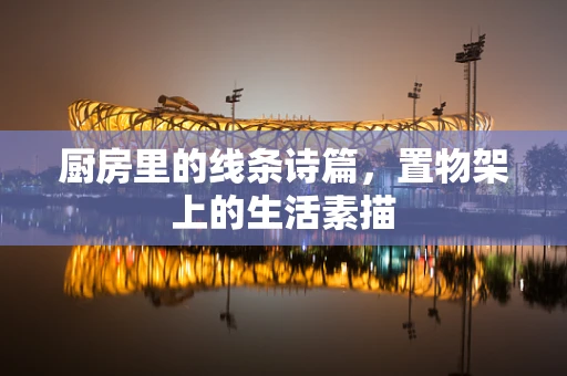 厨房里的线条诗篇，置物架上的生活素描