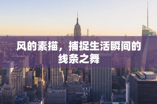 风的素描，捕捉生活瞬间的线条之舞