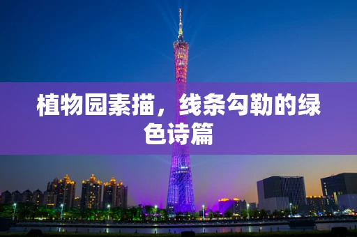 植物园素描，线条勾勒的绿色诗篇