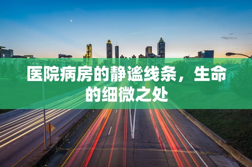 医院病房的静谧线条，生命的细微之处