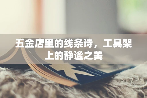 五金店里的线条诗，工具架上的静谧之美