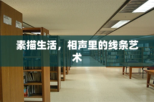 素描生活，相声里的线条艺术