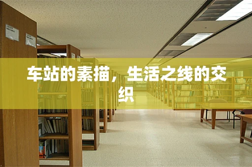 车站的素描，生活之线的交织