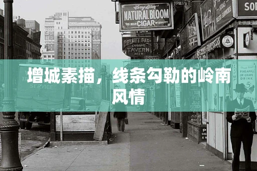 增城素描，线条勾勒的岭南风情
