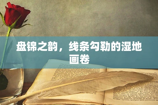 盘锦之韵，线条勾勒的湿地画卷