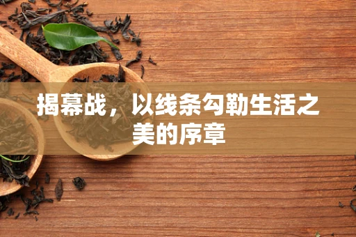 揭幕战，以线条勾勒生活之美的序章