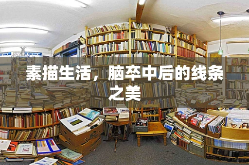 素描生活，脑卒中后的线条之美