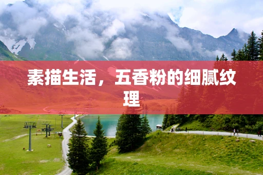 素描生活，五香粉的细腻纹理
