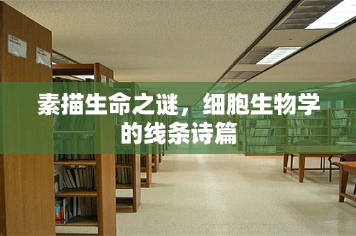 素描生命之谜，细胞生物学的线条诗篇
