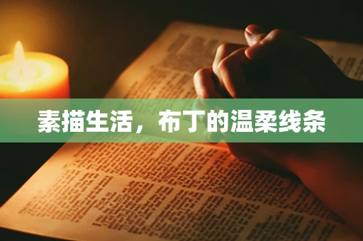 素描生活，布丁的温柔线条