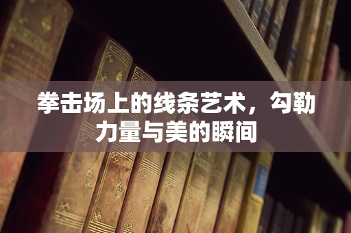 拳击场上的线条艺术，勾勒力量与美的瞬间