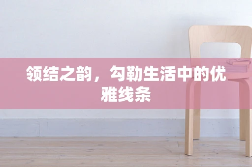 领结之韵，勾勒生活中的优雅线条