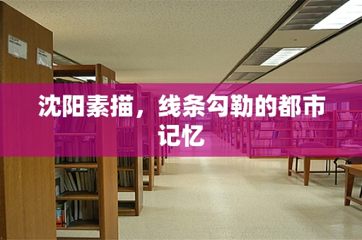 沈阳素描，线条勾勒的都市记忆