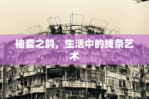 袖套之韵，生活中的线条艺术