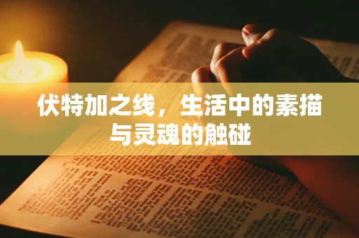 伏特加之线，生活中的素描与灵魂的触碰