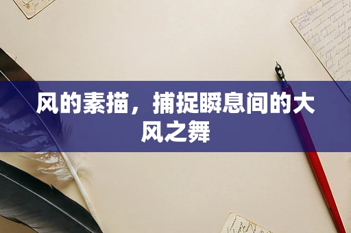 风的素描，捕捉瞬息间的大风之舞