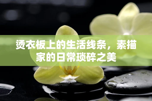 烫衣板上的生活线条，素描家的日常琐碎之美