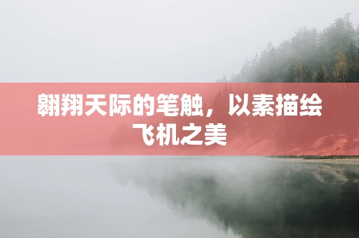 翱翔天际的笔触，以素描绘飞机之美