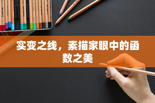 实变之线，素描家眼中的函数之美