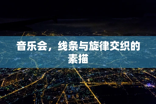 音乐会，线条与旋律交织的素描