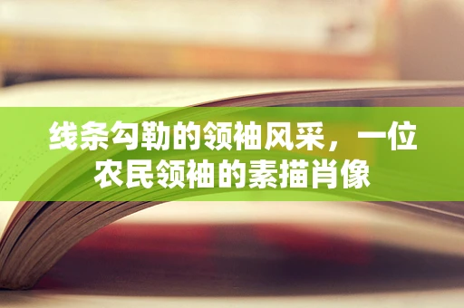 线条勾勒的领袖风采，一位农民领袖的素描肖像