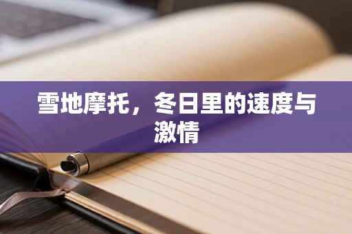雪地摩托，冬日里的速度与激情