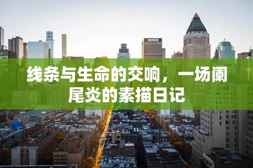 线条与生命的交响，一场阑尾炎的素描日记