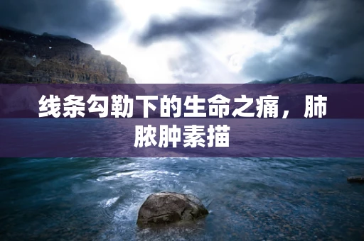 线条勾勒下的生命之痛，肺脓肿素描
