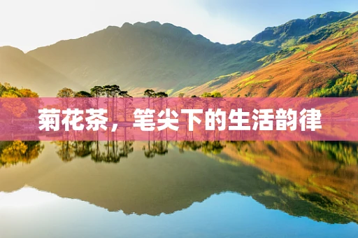 菊花茶，笔尖下的生活韵律