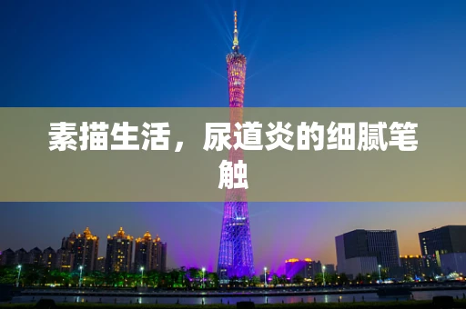 素描生活，尿道炎的细腻笔触