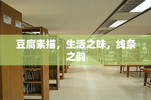豆腐素描，生活之味，线条之韵