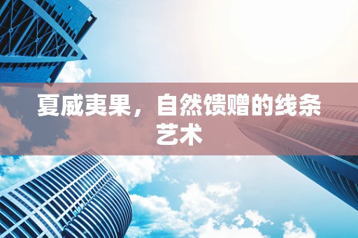夏威夷果，自然馈赠的线条艺术