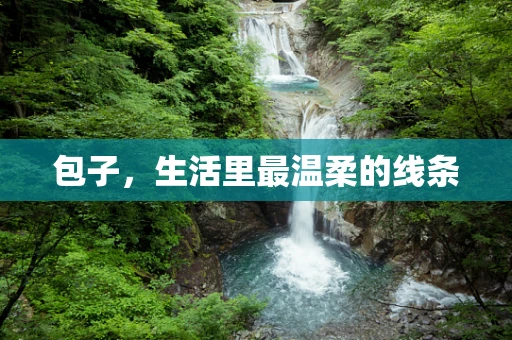 包子，生活里最温柔的线条