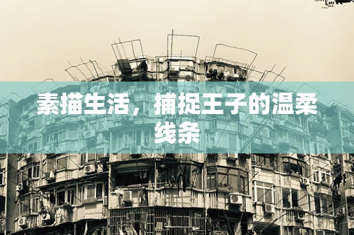 素描生活，捕捉王子的温柔线条